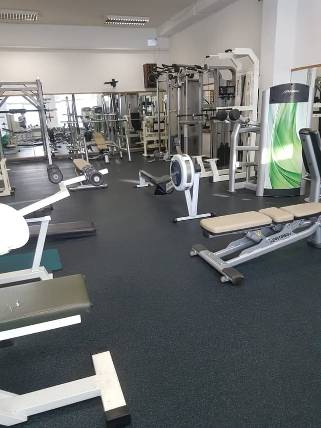 Vilniaus seipingo klubas