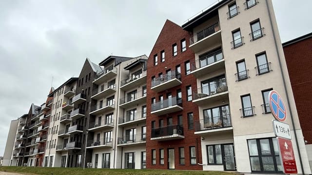 Mėmelio sveikatingumo studija