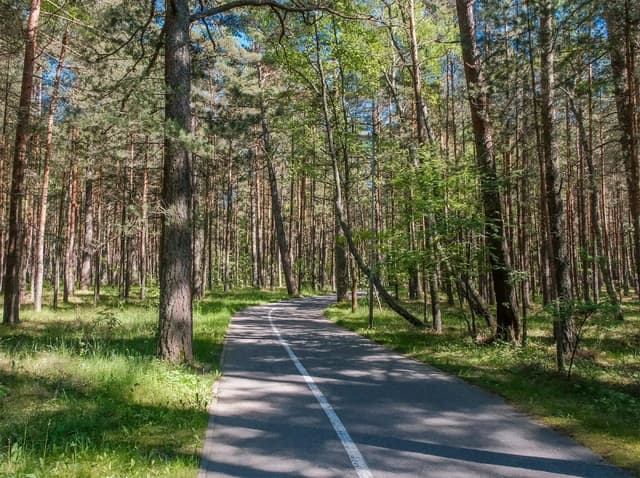 Miško sporto erdvė