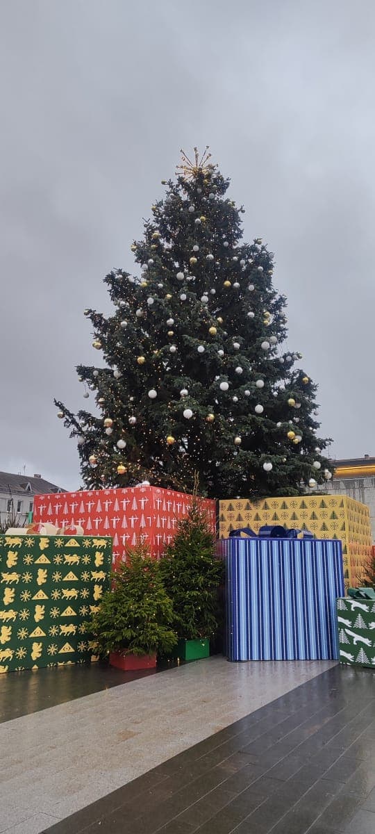 Stalo teniso sporto klubas, Šiauliai