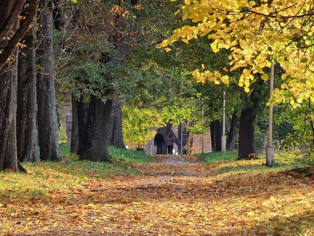 Tennis Club Old Park