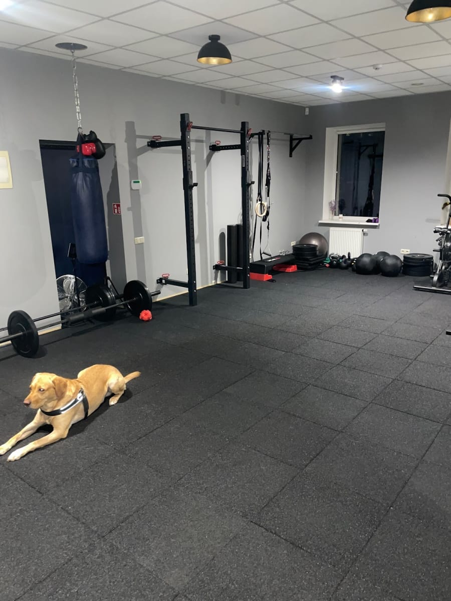 Power Fitness Studio — sporto klubas Vilnius