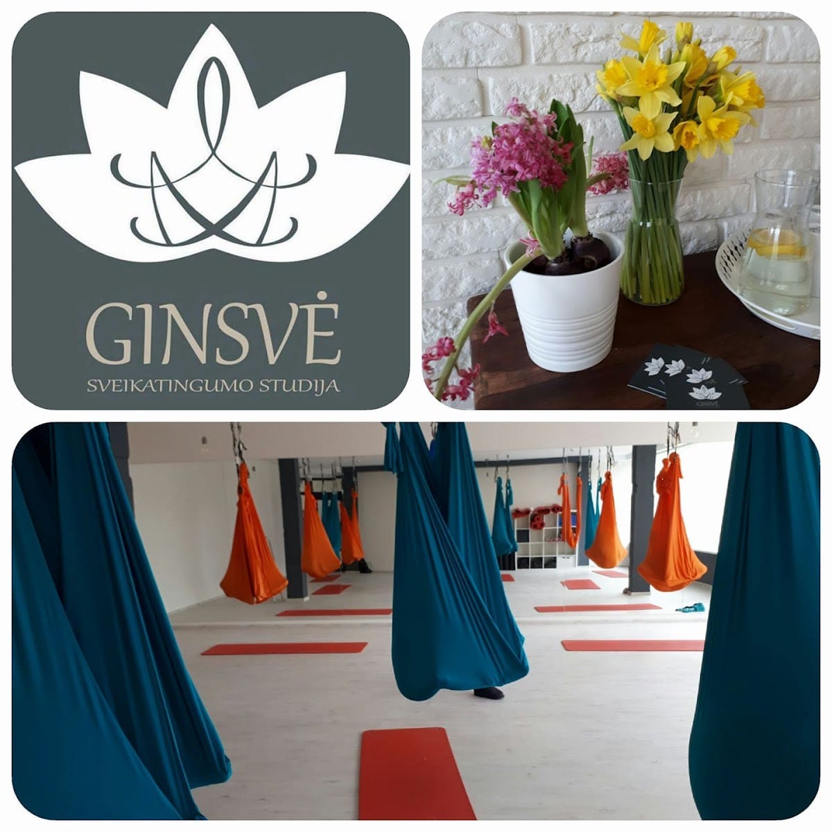 Ginsvė — sporto klubas Klaipėda