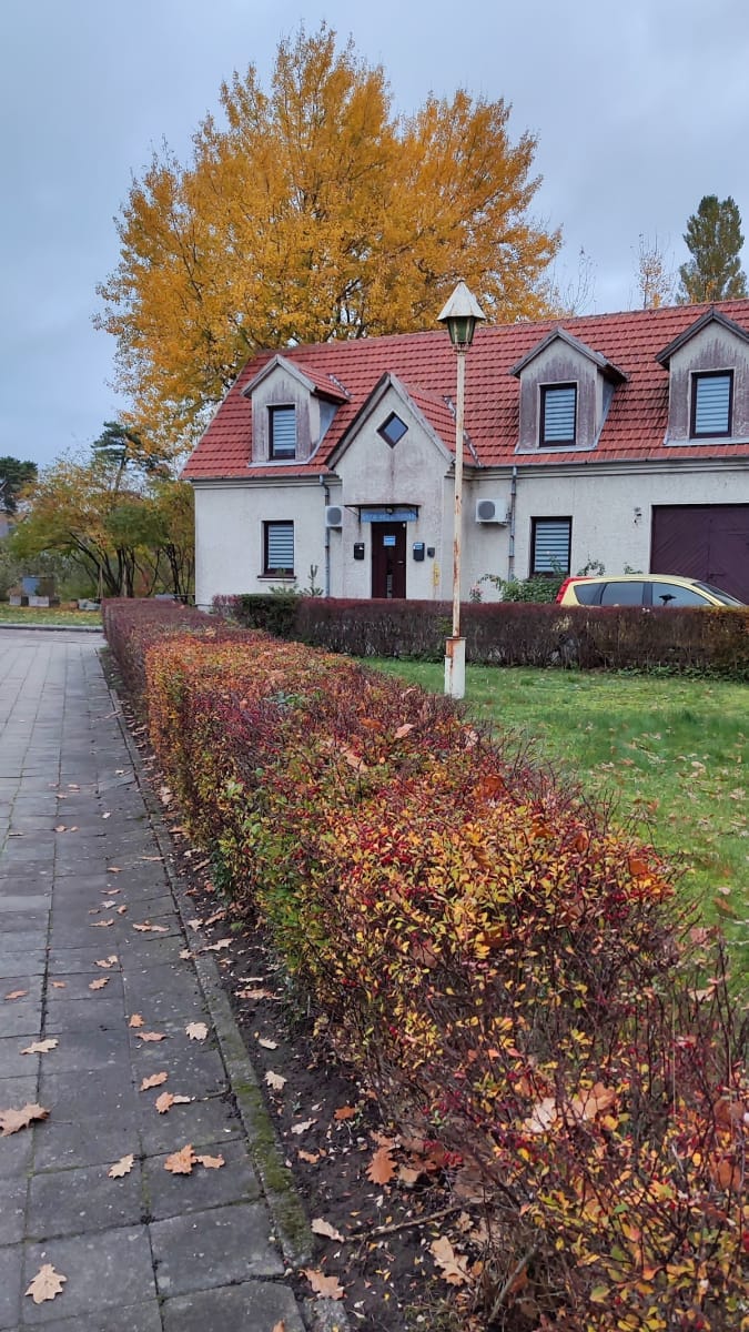 Surf Style Bazė — sporto klubas Klaipėda