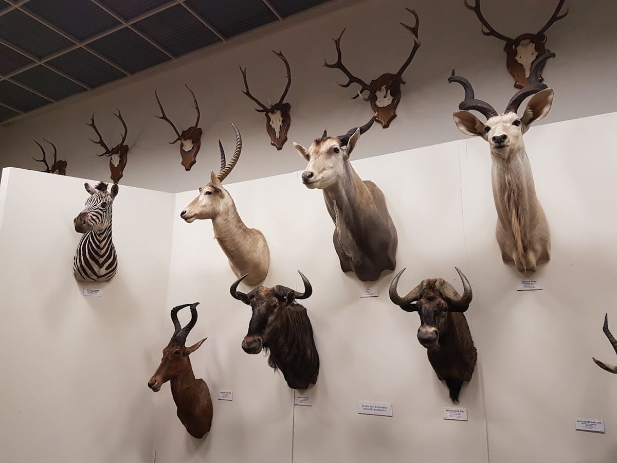 Masazo ir sporto studija — sporto klubas Klaipėda