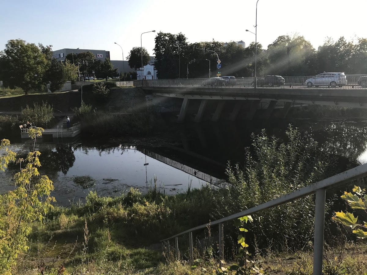 Panevezys, krepsinio klubas — sporto klubas Panevėžys