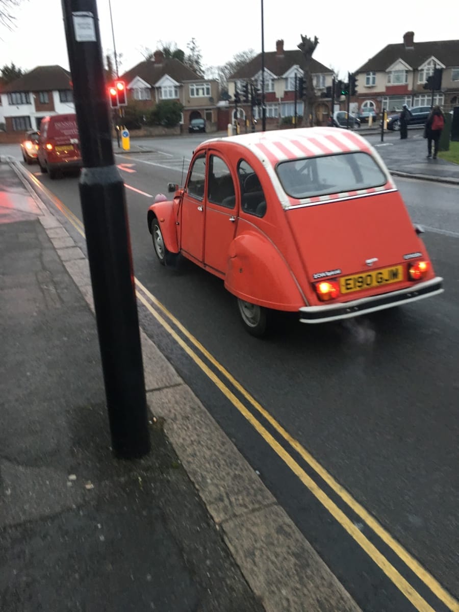 IPON, Panevezio miesto dziudo klubas — sporto klubas Panevėžys