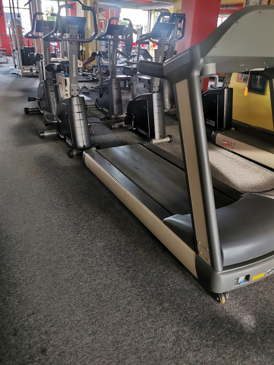 Elada — sporto klubas Šiauliai