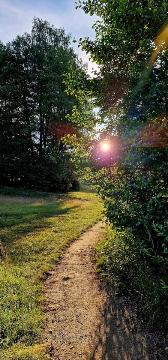 Pašvinio paplūdimys — sporto klubas Other