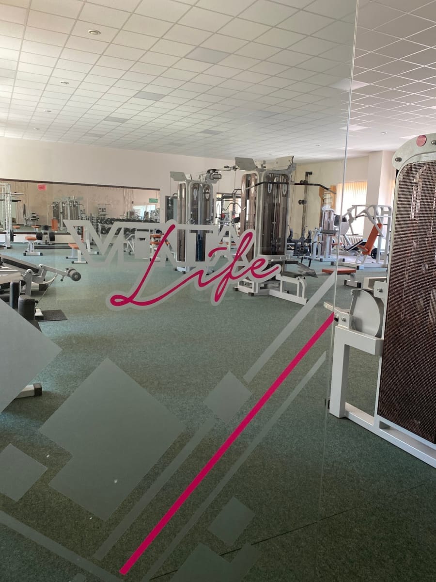 Venta life, sporto klubas, Vegbas — sporto klubas Šiauliai