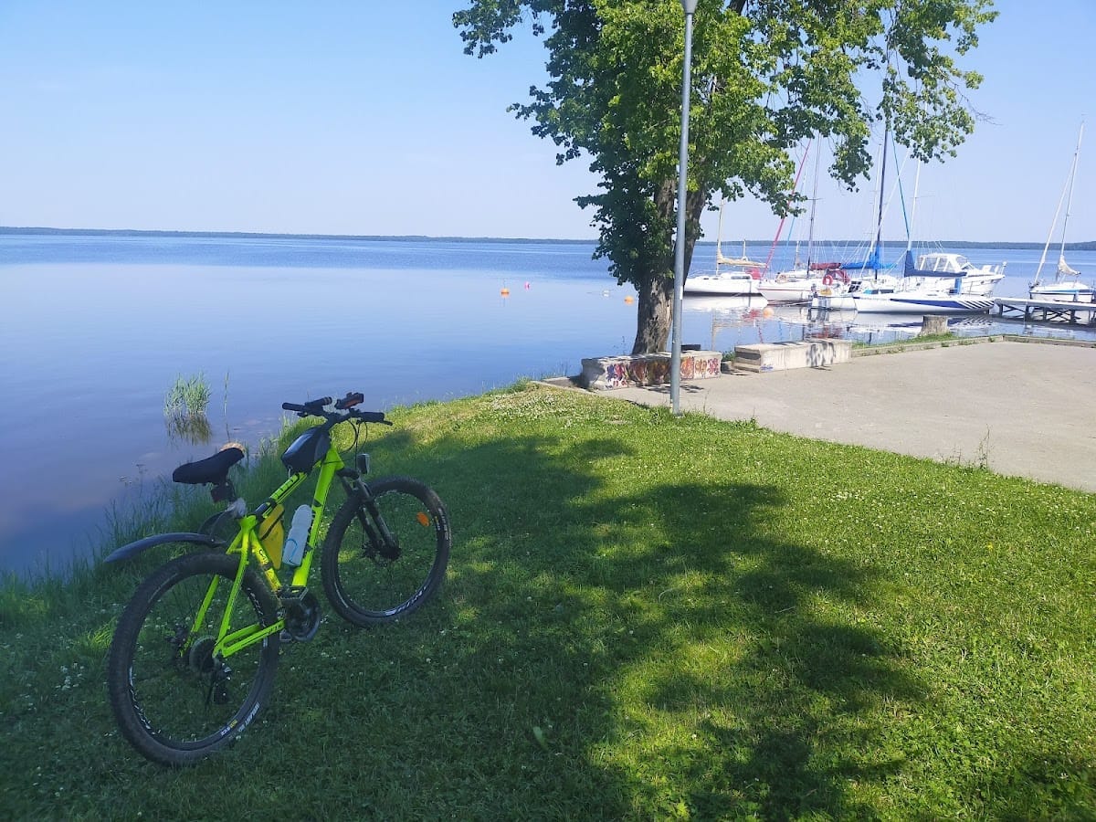 Rekyvos vandens klubas — sporto klubas Šiauliai