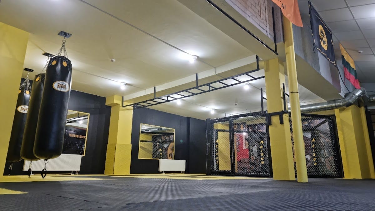 Suncity MMA klubas — sporto klubas Šiauliai